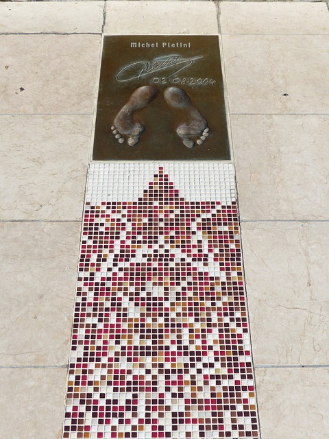 初期可能会 初期可能会